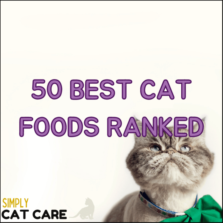 5 Best Wet Cat Food For Picky Eaters 2022 Simply Cat Care