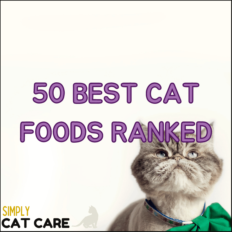 50 Best Cat Foods: All Popular Cat Foods Ranked For Health