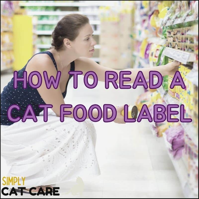 How to Read a Cat Food Label