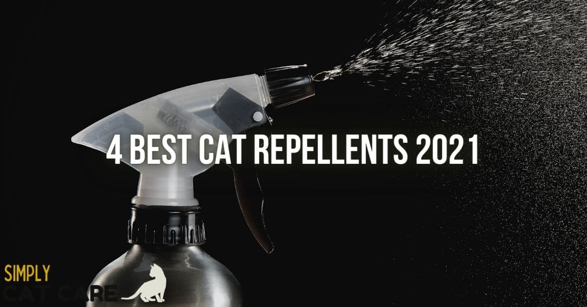 Top 4 Best Cat Repellent Choices 2022 Simply Cat Care