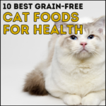 10 Best Cat Foods for Health (Grain-Free)