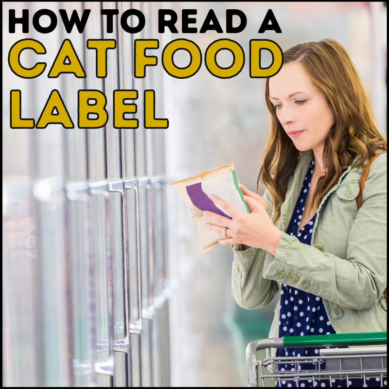 Easy Guide on How to Read a Cat Food Label