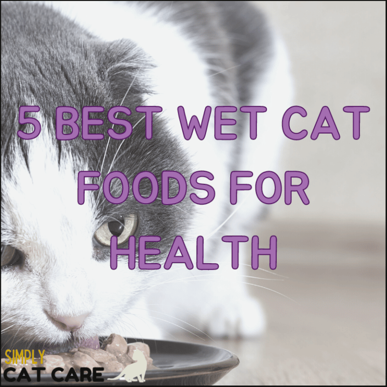 5 Best Wet Cat Food For Picky Eaters in 2022