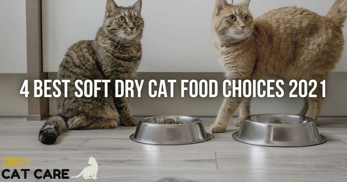 4 Best Soft Dry Cat Food Choices 2021 Simply Cat Care