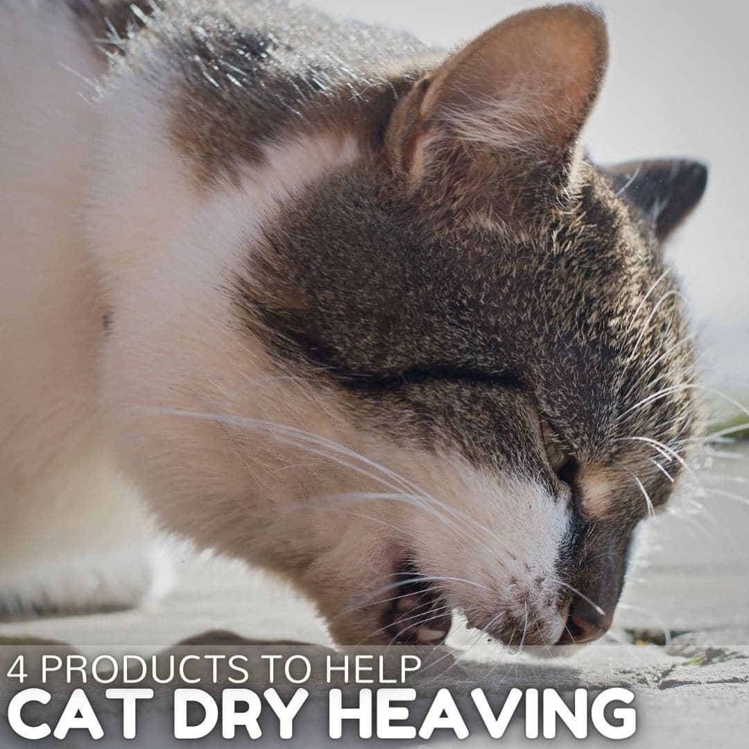 4 Products to Help Stop a Cat Dry Heaving Simply Cat Care