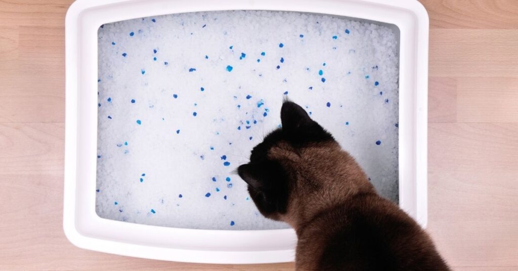 Crystal cat litter may produce more dust.