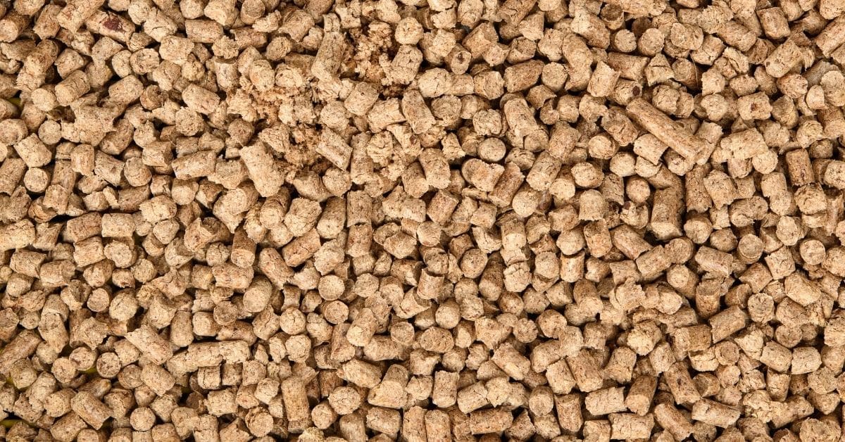 3 Best Non Tracking Cat Litter Choices in 2021 Simply Cat Care