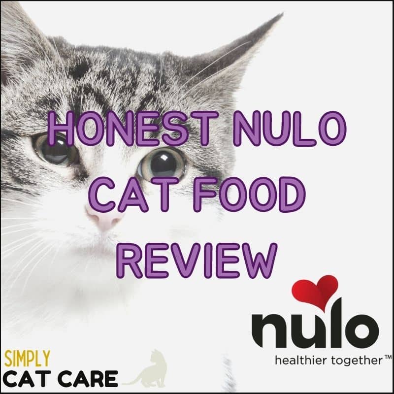 Nulo cat food review