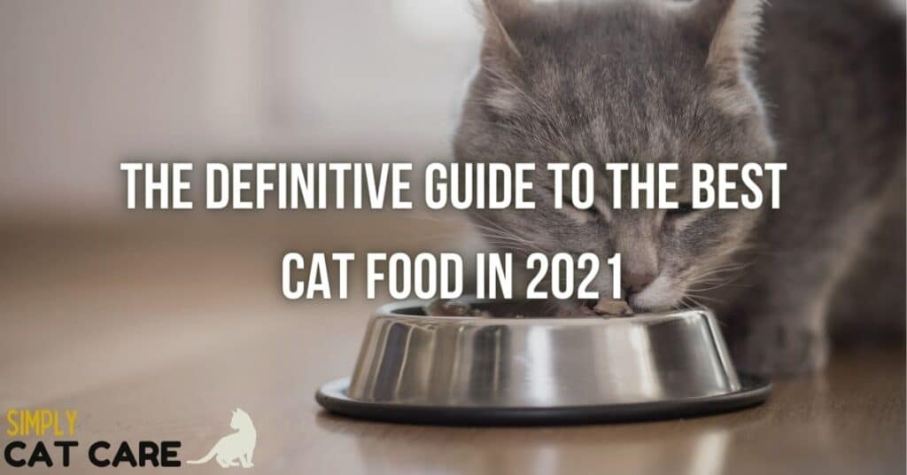 Best cat food