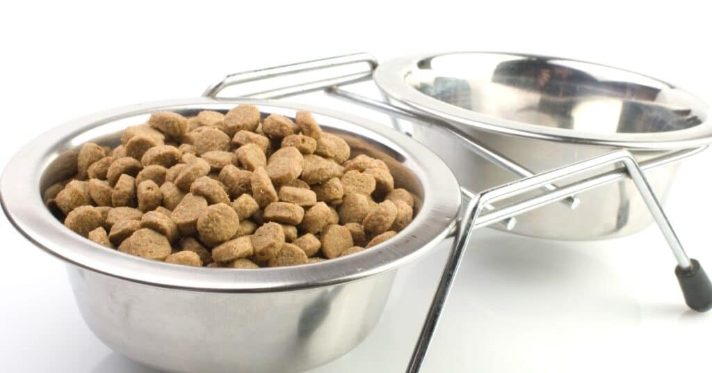 cat food bowl to slow down eating
