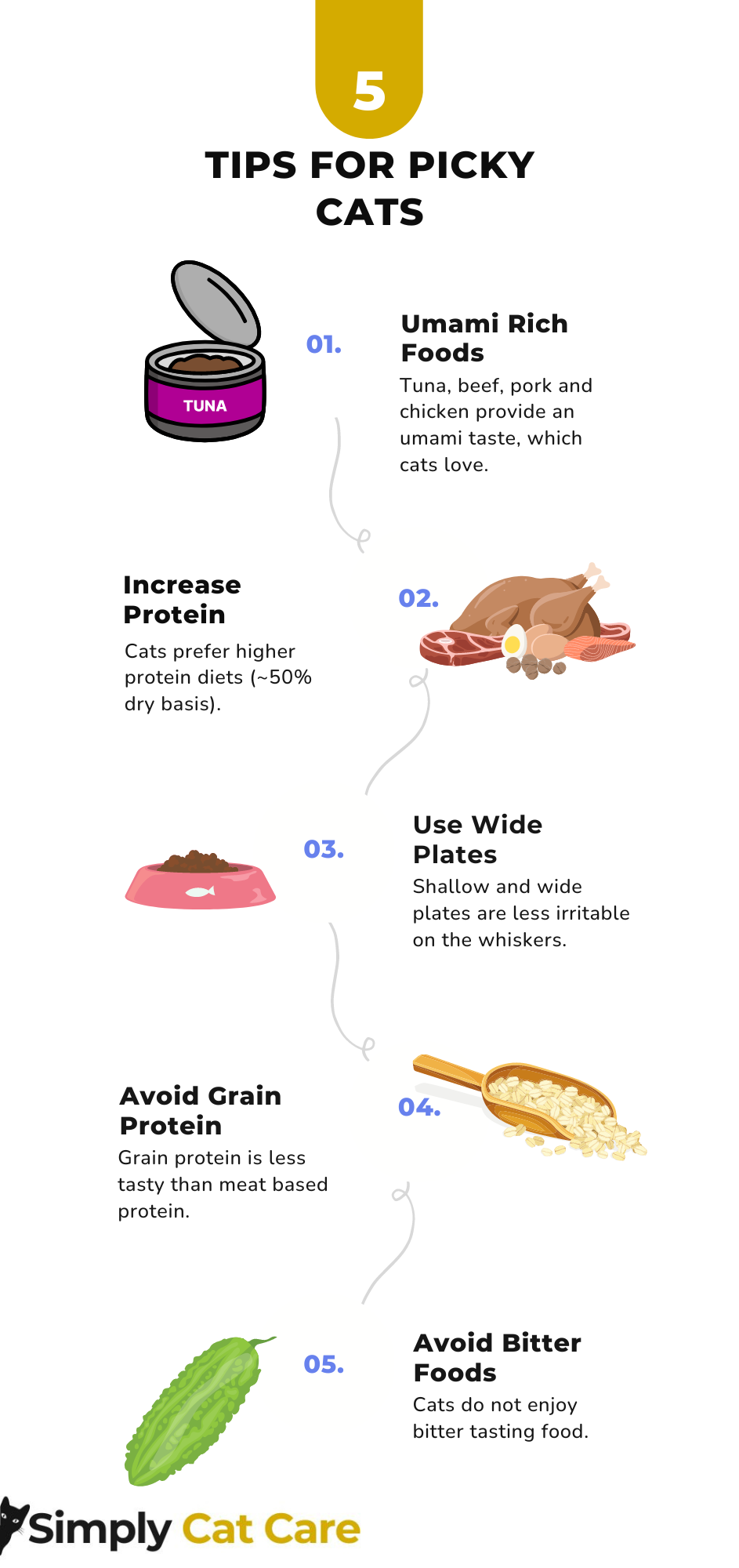 5 quick tips for picky cats infographic.