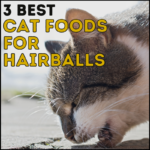 3 Best Cat Food for Hairballs