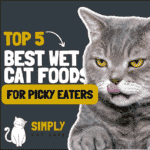 5 Best Wet Cat Food for Picky Eaters