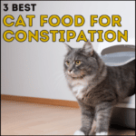 3 Best Cat Food for Constipation
