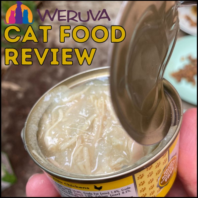 Honest Weruva Cat Food Review