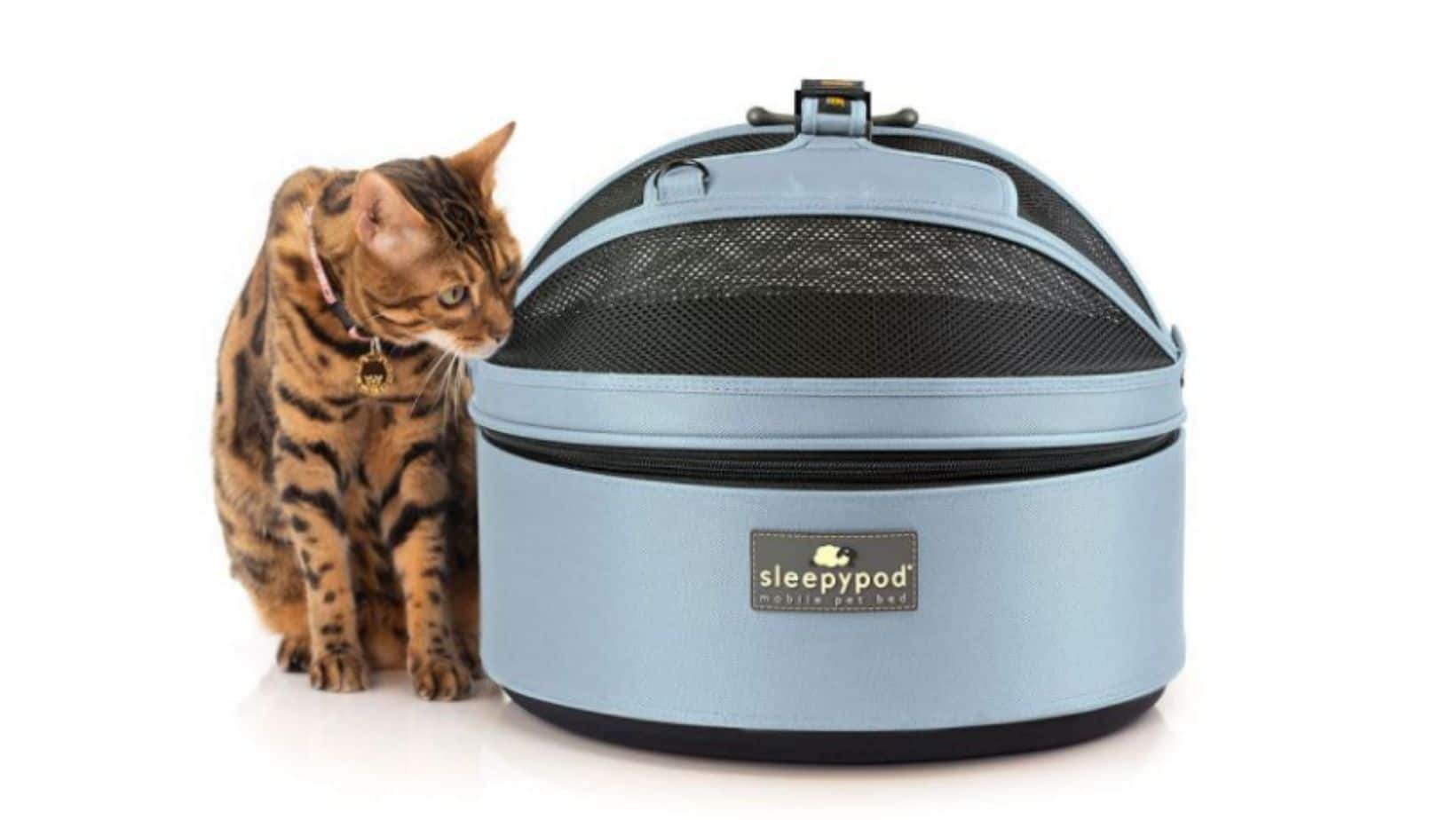 Sleepypod Review Best Cat Carrier for Car Travel in 2021 Simply Cat Care