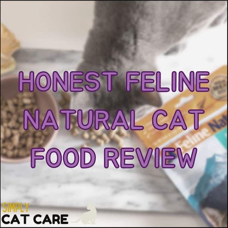 Honest Feline Natural Cat Food Review