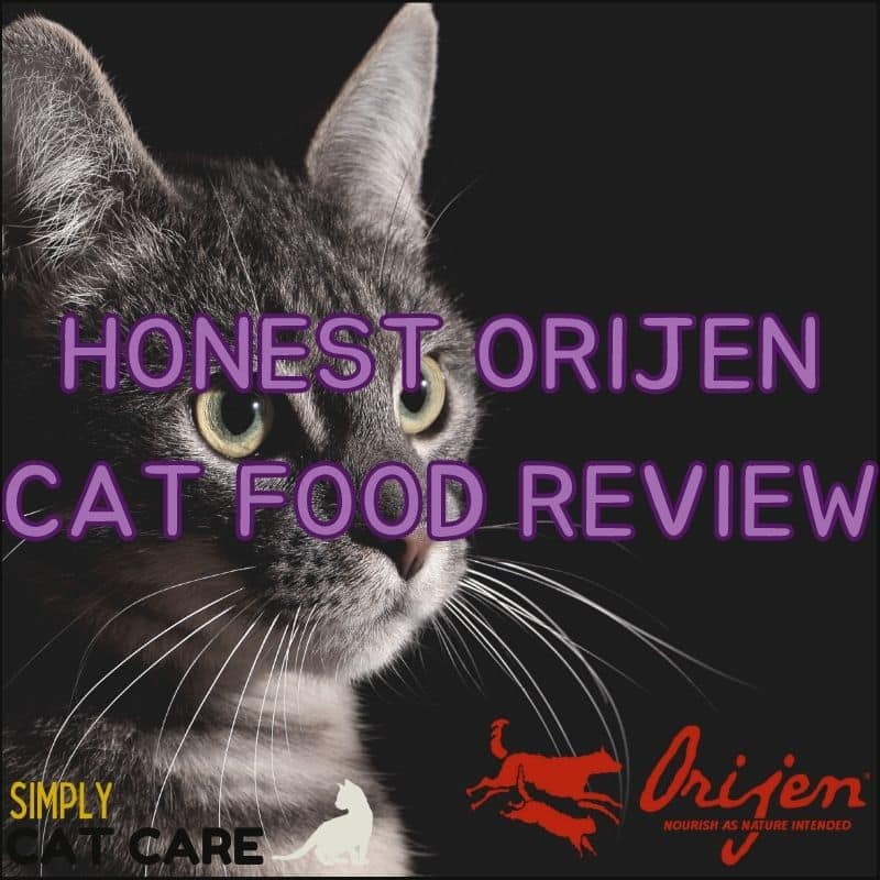 Honest Orijen Cat Food Review