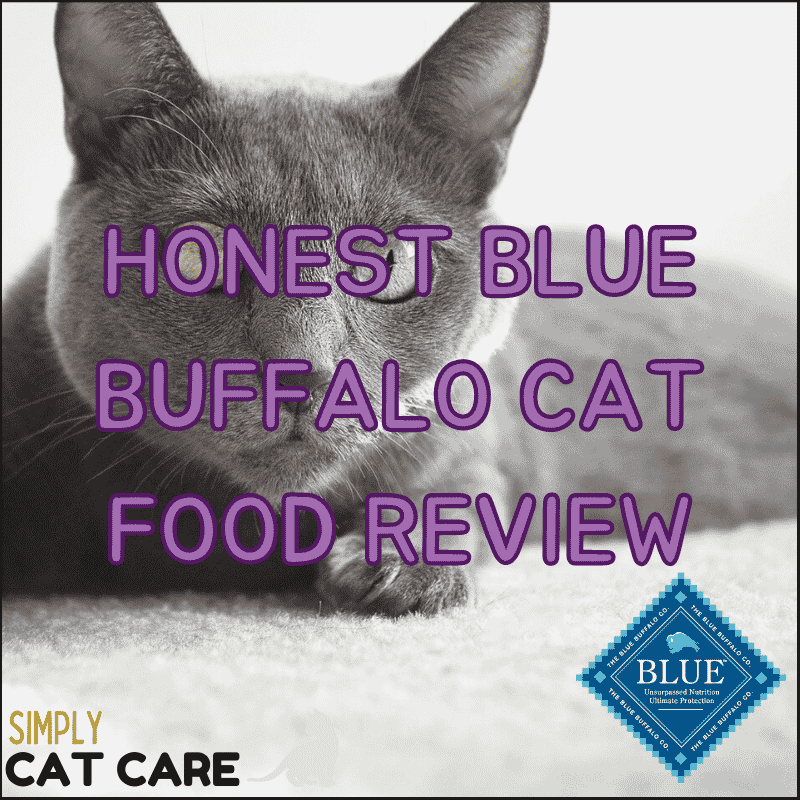 Honest Blue Buffalo Cat Food Review