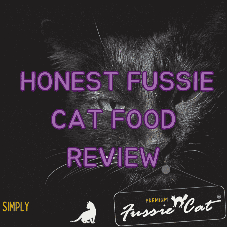 Honest Fancy Feast Cat Food Review in 2023