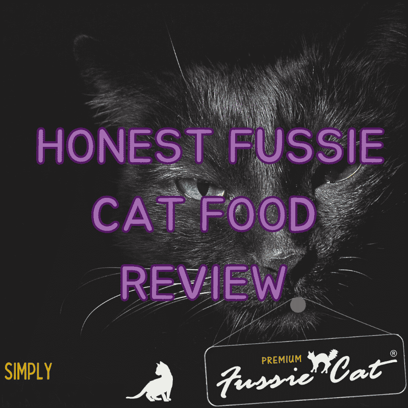 Honest Fussie Cat Food Review