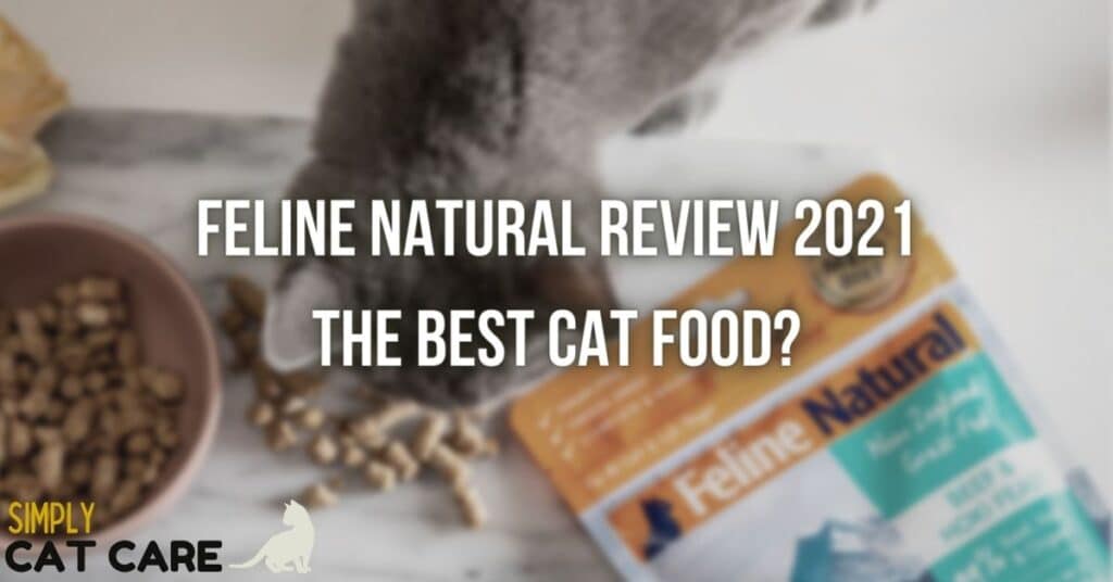 Feline Natural review