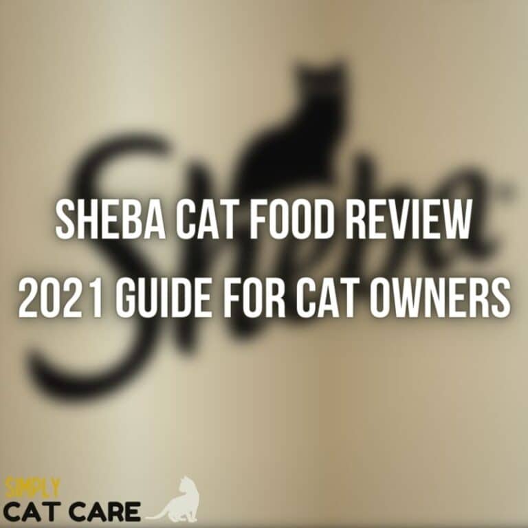 A Complete Sheba Cat Food Review in 2021