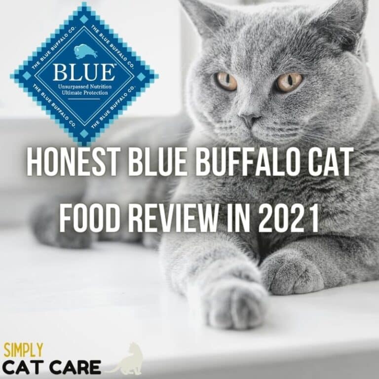 Honest Blue Buffalo Cat Food Review 2021