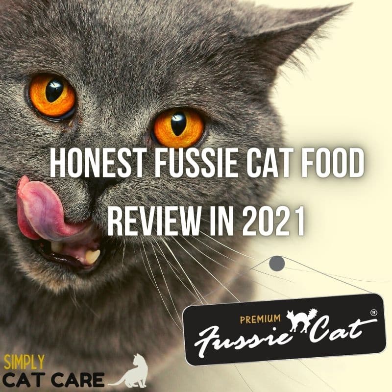Honest Fussie Cat Food Review in 2021