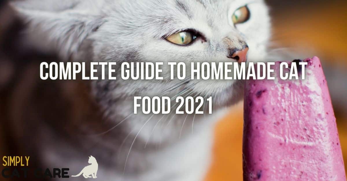 Complete Guide to Homemade Cat Food 2022 Simply Cat Care