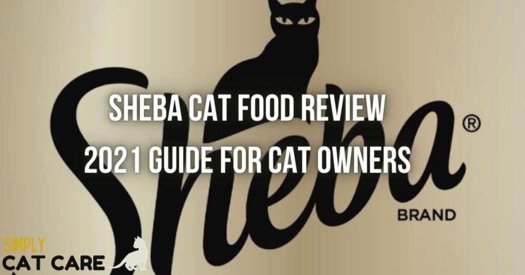Sheba cat food review