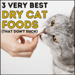 3 Best Dry Cat Foods