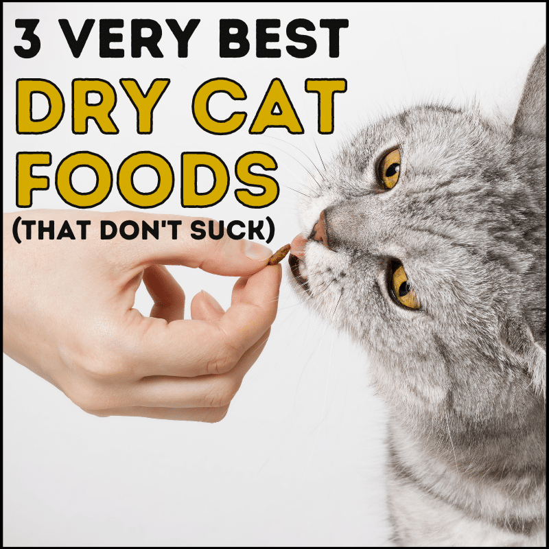 3 Best Dry Cat Foods for Top Health