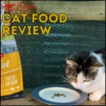 Orijen cat food review