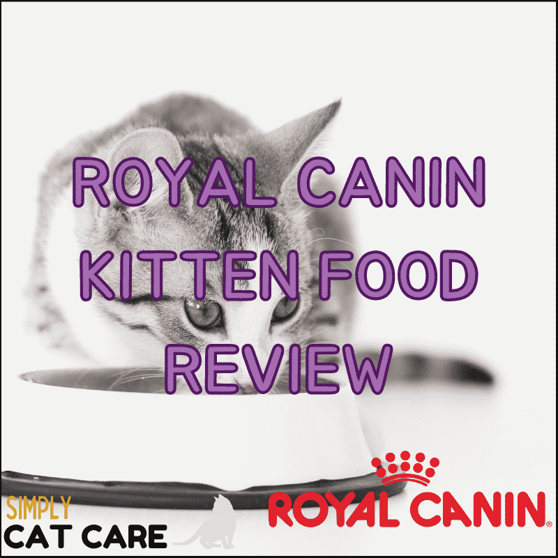 Honest Royal Canin Kitten Food Review