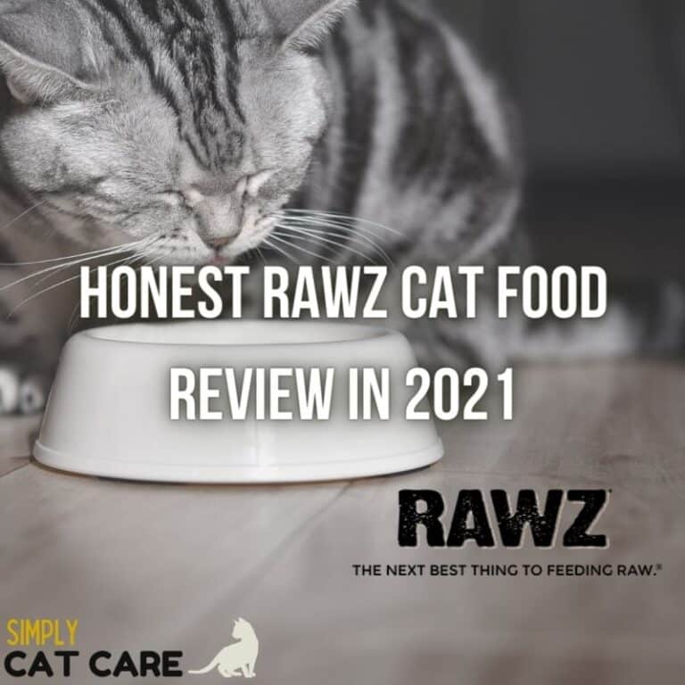 Honest Rawz Cat Food Review 2021