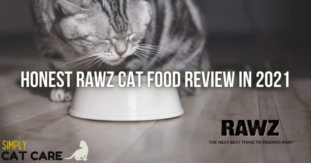 Honest Rawz Cat Food Review 2022 Simply Cat Care