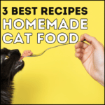 3 Best Homemade Cat Food Recipes