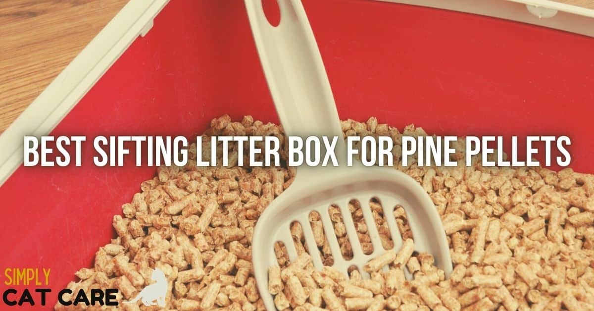 Best Sifting Litter Box For Pine Pellets 2024 Simply Cat Care