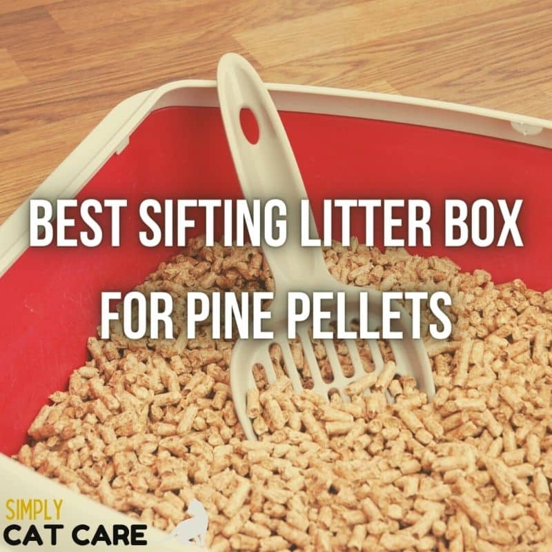 Best Sifting Litter Box For Pine Pellets