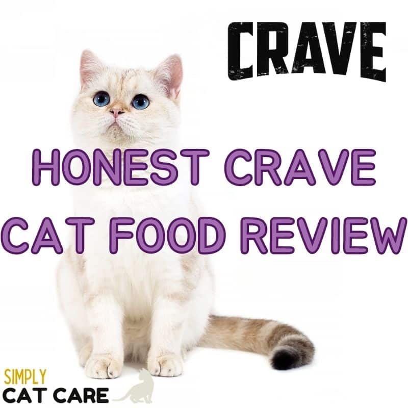 Honest Crave Cat Food Review
