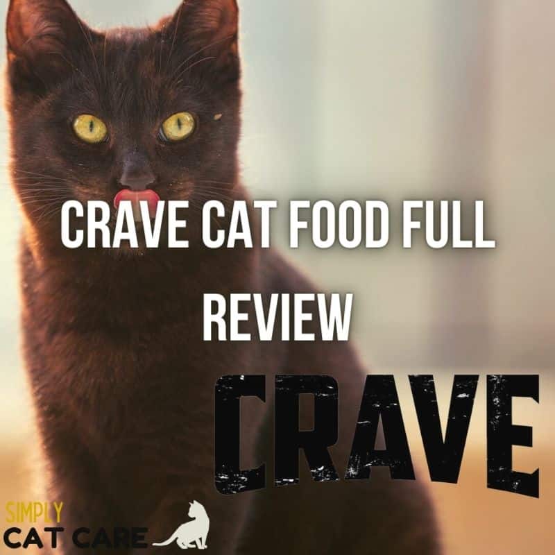 Crave Cat Food Full Review