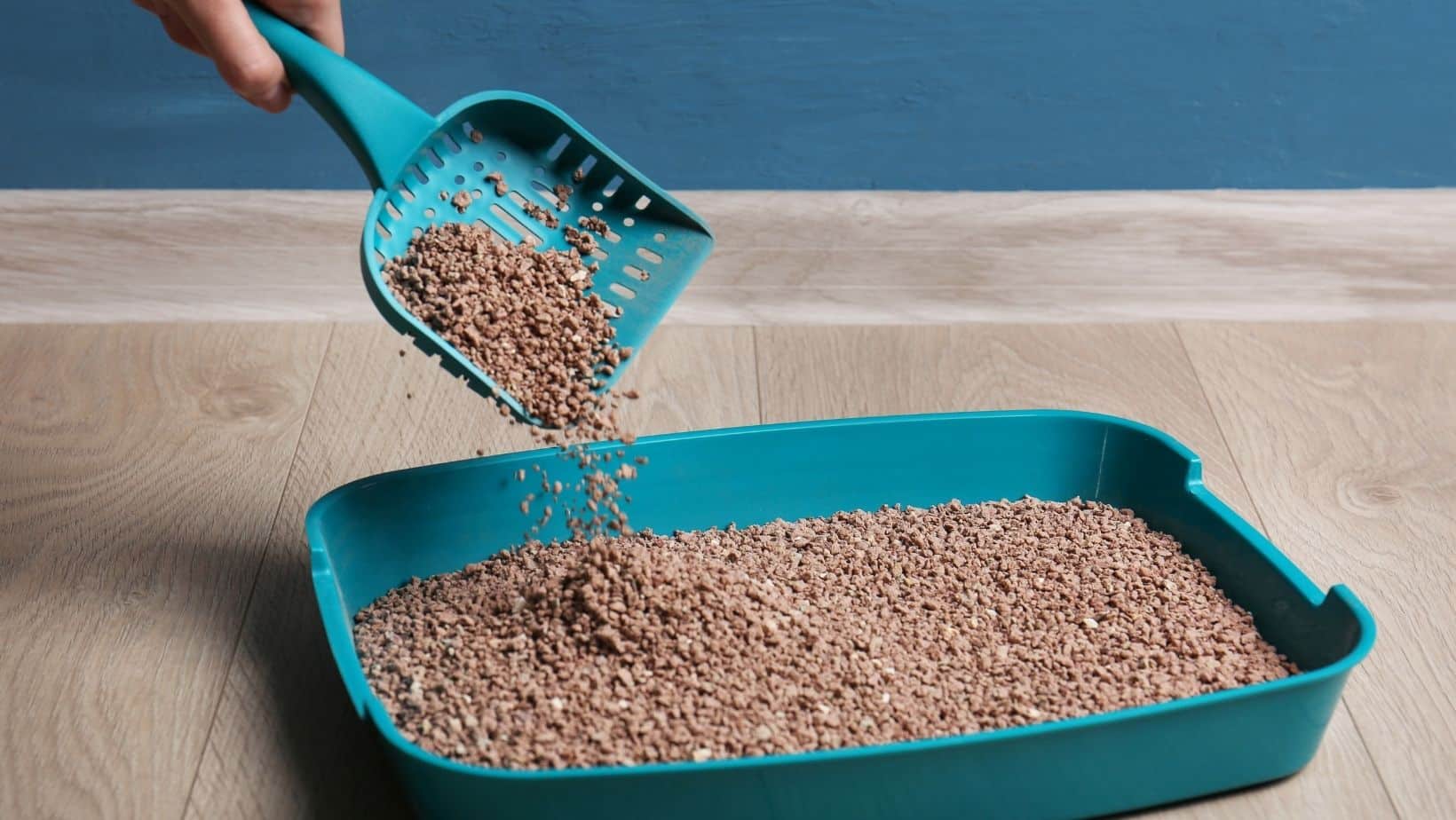 Best Sifting Litter Box For Pine Pellets 2023 Simply Cat Care