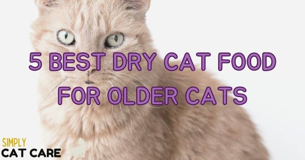 Top 5 Best Dry Cat Food For Older Cats