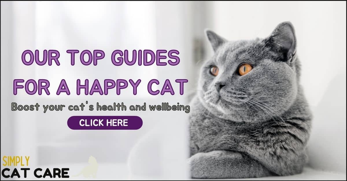 Simply Cat Care is a site that helps cat owners choose the best products to optimize their cat's health and longevity.