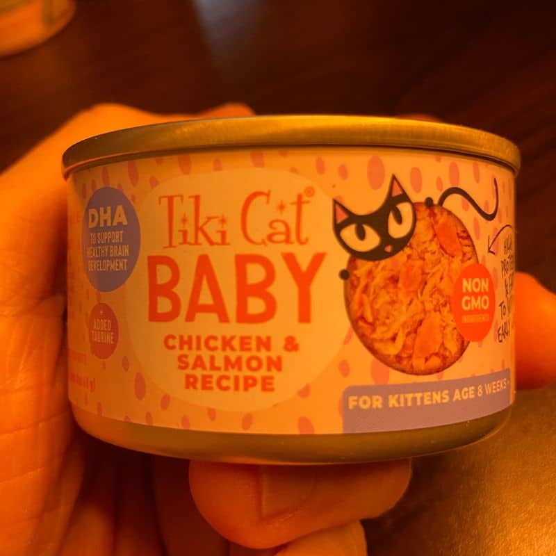 Best Cat Foods Without Carrageenan in 2024