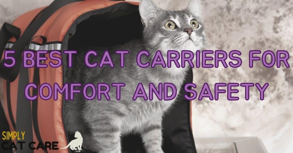 5 Best Cat Carriers For Comfort and Safety