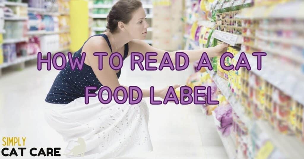 How To Read A Cat Food Label