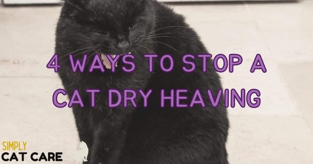 4 Ways To Stop A Cat Dry Heaving