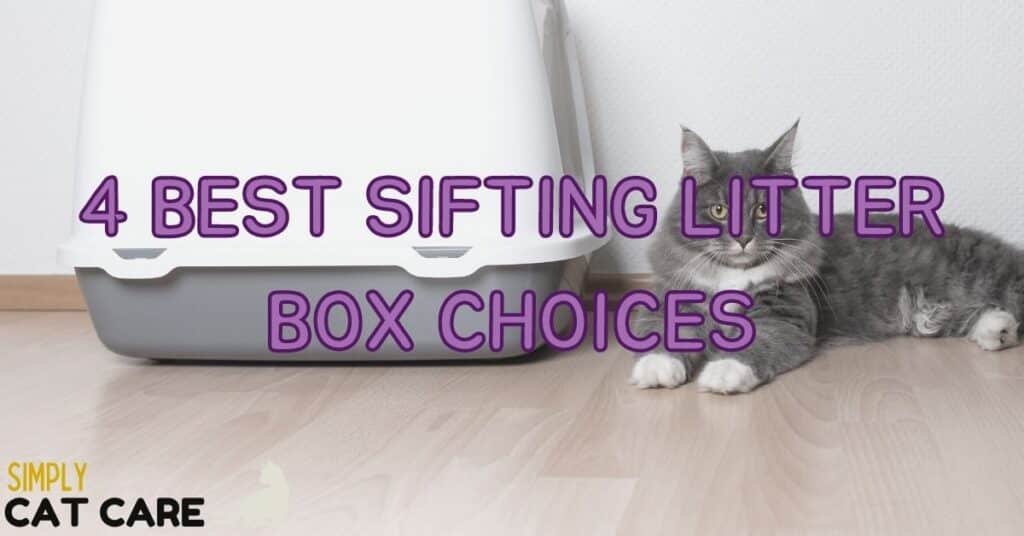 4 Best Sifting Litter Box Choices.